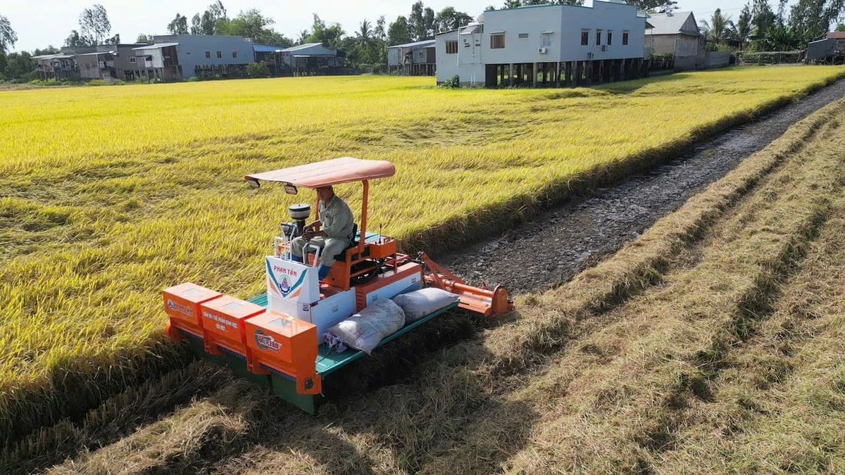 Hiện nay, các mô hình ứng dụng máy rải chế phẩm vùi rơm rạ của Phan Tấn đã được triển khai tại nhiều địa phương như An Giang, Đồng Tháp, Kiên Giang, Long An… và bước đầu ghi nhận đạt hiệu quả rõ rệt. Ảnh: Lê Hoàng Vũ. Hiện nay, các mô hình ứng dụng máy rải chế phẩm vùi rơm rạ của Phan Tấn đã được triển khai tại nhiều địa phương như An Giang, Đồng Tháp, Kiên Giang, Long An… và bước đầu ghi nhận đạt hiệu quả rõ rệt. Ảnh: Lê Hoàng Vũ.