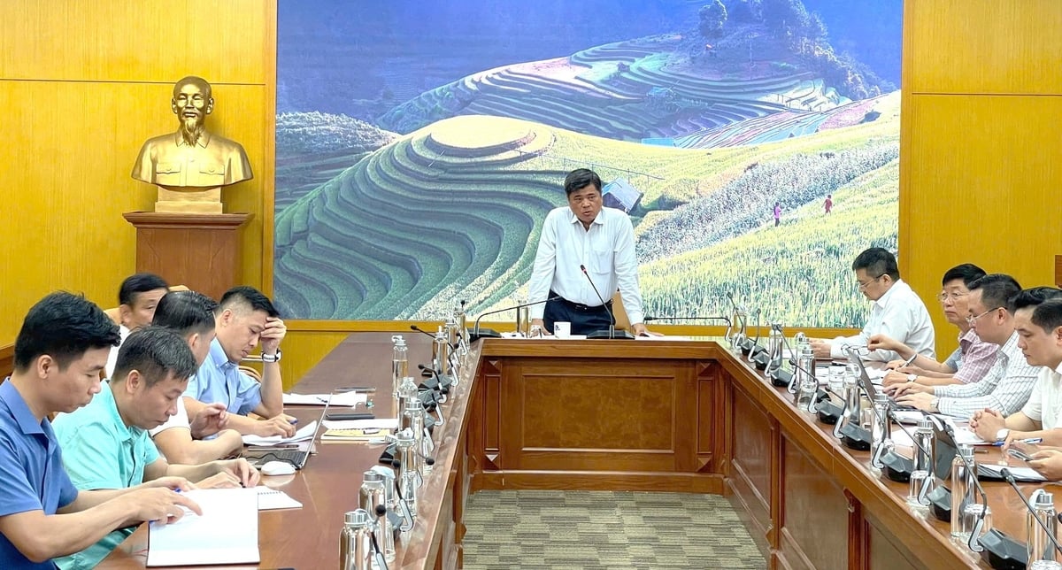 Thứ trưởng Bộ Nông nghiệp và Môi trường Trần Thanh Nam yêu cầu các đơn vị khẩn trương xây dựng kế hoạch kiểm tra theo chức năng quản lý nhà nước, tập trung vào một số địa phương trọng điểm. Ảnh Trường Giang. Thứ trưởng Bộ Nông nghiệp và Môi trường Trần Thanh Nam yêu cầu các đơn vị khẩn trương xây dựng kế hoạch kiểm tra theo chức năng quản lý nhà nước, tập trung vào một số địa phương trọng điểm. Ảnh Trường Giang.