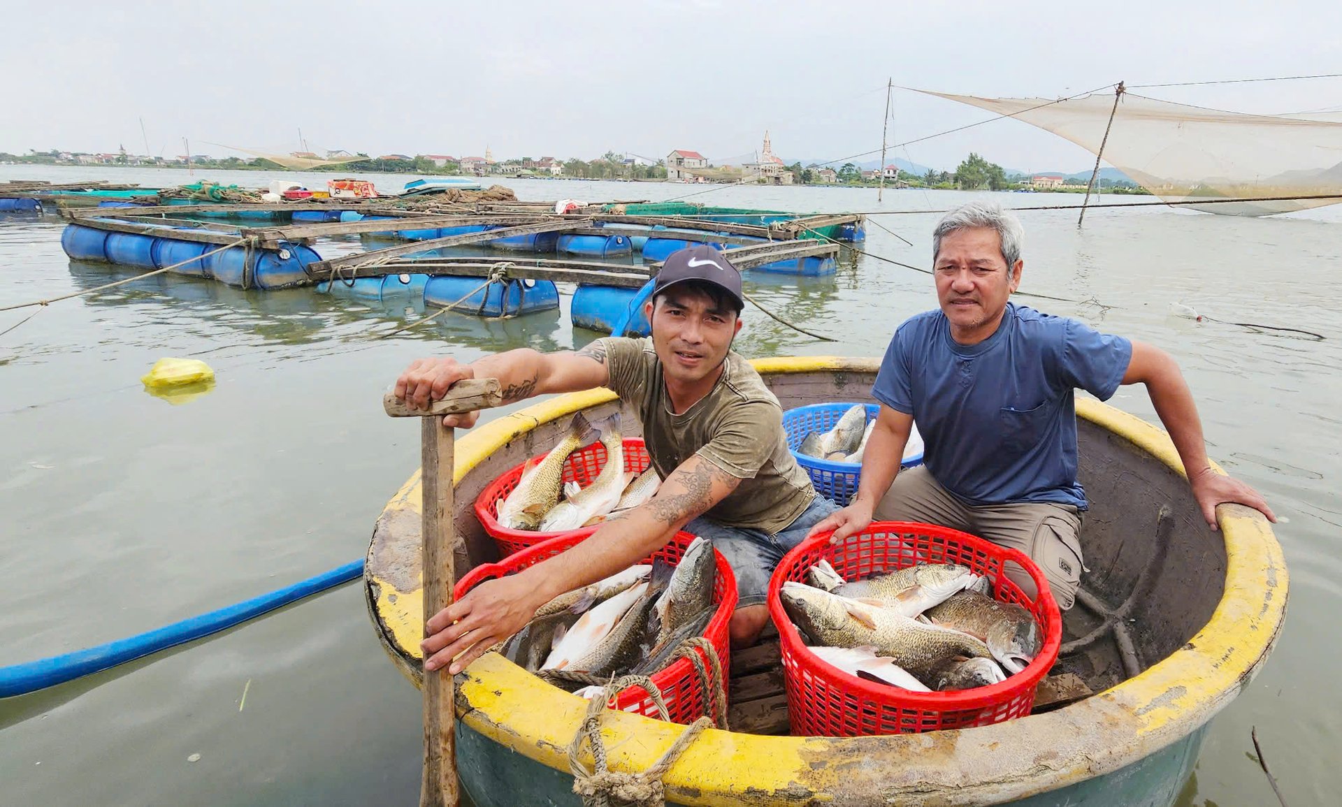 Mỗi hộ nuôi thu lợi nhuận khoảng 60 triệu đồng mỗi năm từ nuôi cá lồng. Ảnh: T. Phùng. Mỗi hộ nuôi thu lợi nhuận khoảng 60 triệu đồng mỗi năm từ nuôi cá lồng. Ảnh: T. Phùng.