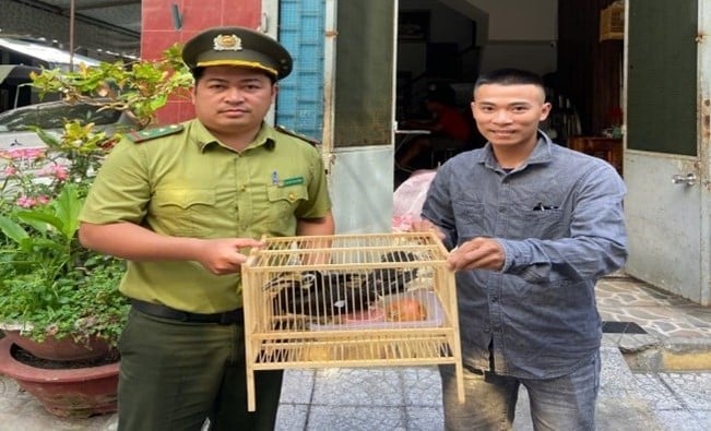 Người dân giao nộp chim Cao cát bụng trắng cho lực lượng kiểm lâm Đà Nẵng. Ảnh: Chi cục Kiểm lâm Đà Nẵng cung cấp. Người dân giao nộp chim Cao cát bụng trắng cho lực lượng kiểm lâm Đà Nẵng. Ảnh: Chi cục Kiểm lâm Đà Nẵng cung cấp.