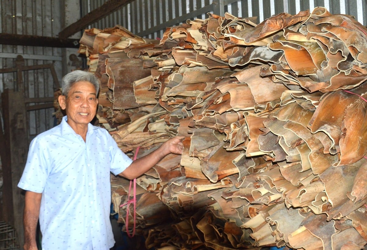Ông Thái thu gom mo cau khô để bán, tăng thu nhập từ mô hình vườn trồng khóm, cau, dừa. Ảnh: Trung Chánh. Ông Thái thu gom mo cau khô để bán, tăng thu nhập từ mô hình vườn trồng khóm, cau, dừa. Ảnh: Trung Chánh.