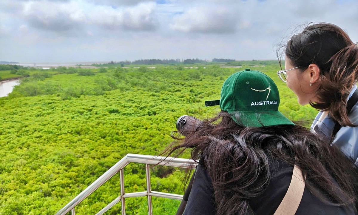Khách du lịch say sưa ngắm nhìn Vườn quốc gia từ trên cao. Ảnh: Bảo Thắng. Khách du lịch say sưa ngắm nhìn Vườn quốc gia từ trên cao. Ảnh: Bảo Thắng.