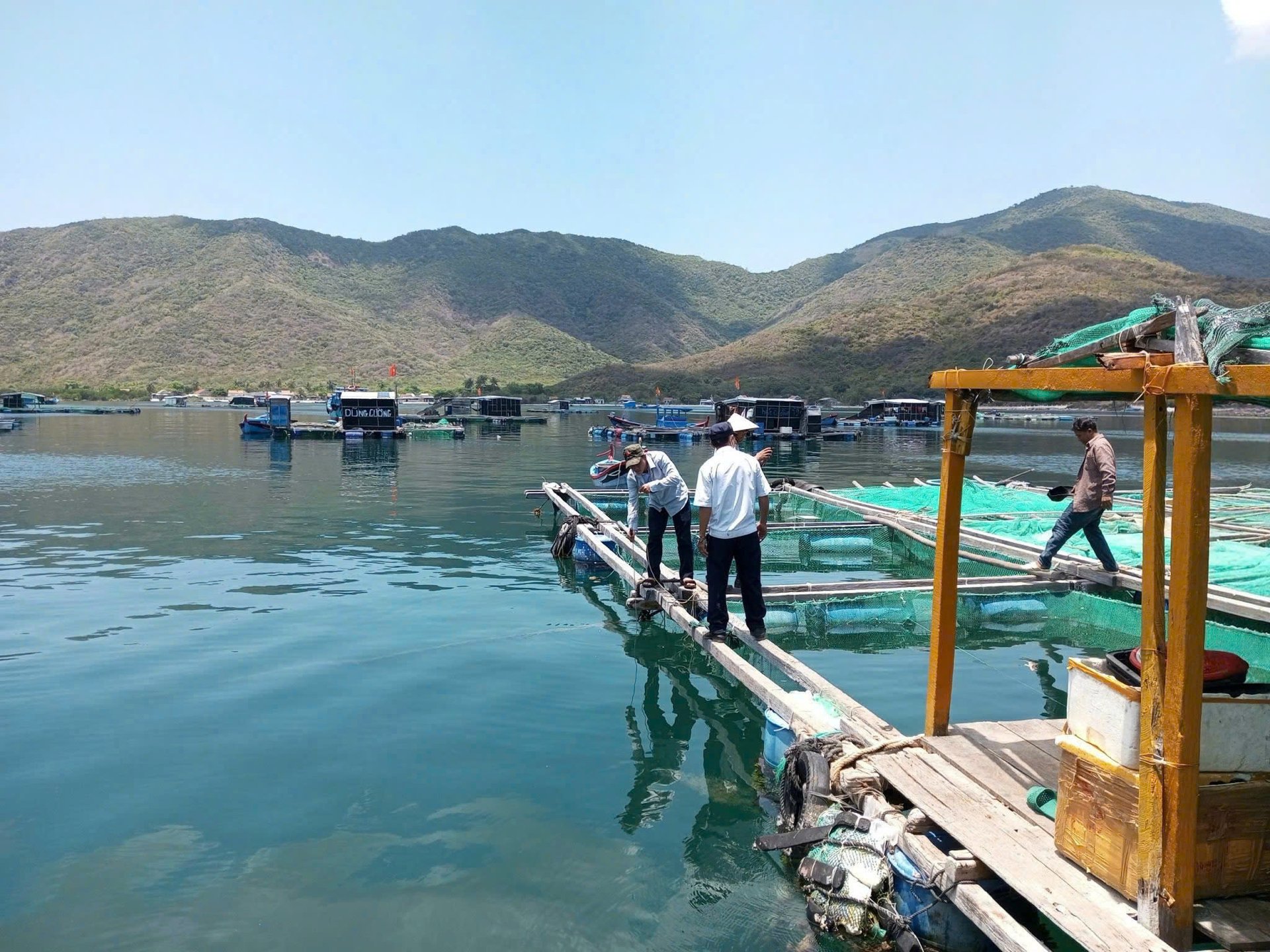 Viện III có đội ngũ cán bộ chuyên nghiệp và trang thiết bị máy móc hiện đại để phân tích chất lượng nước ở các vùng nuôi. Ảnh: Viện III. Viện III có đội ngũ cán bộ chuyên nghiệp và trang thiết bị máy móc hiện đại để phân tích chất lượng nước ở các vùng nuôi. Ảnh: Viện III.