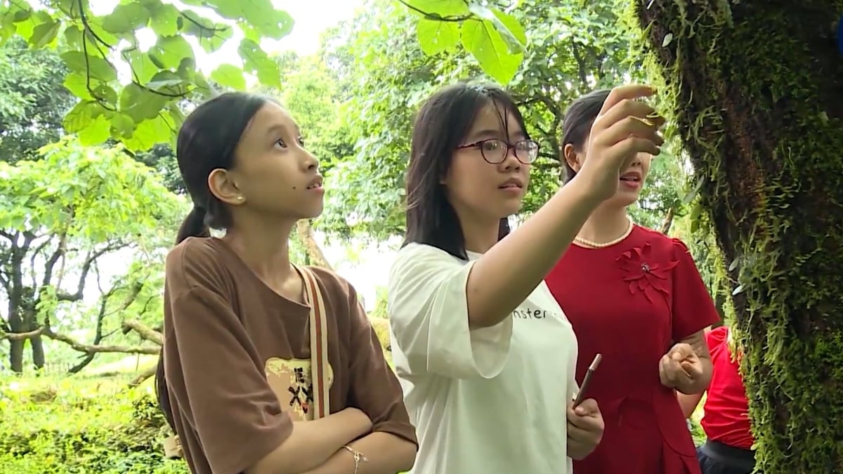 Du khách trải nhiệm tại Vườn quốc gia Ba Vì. Ảnh: Đoàn Phòng. Du khách trải nhiệm tại Vườn quốc gia Ba Vì. Ảnh: Đoàn Phòng.