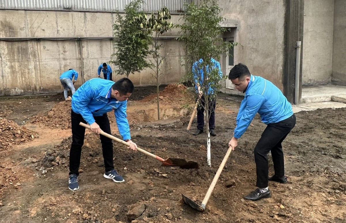 Lào Cai triển khai trồng cây xanh 2 bên đường nhằm cải tạo cảnh quan và nâng cao ý thức của cộng đồng về vai trò của cây xanh. Ảnh: Bích Hợp. Lào Cai triển khai trồng cây xanh 2 bên đường nhằm cải tạo cảnh quan và nâng cao ý thức của cộng đồng về vai trò của cây xanh. Ảnh: Bích Hợp.