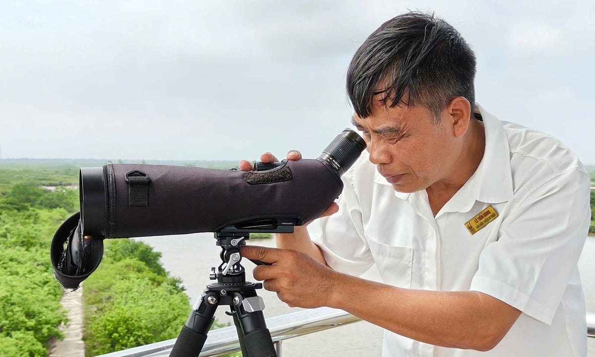 Ông Lê Tiến Dũng, cán bộ bảo tồn của Vườn quốc gia Xuân Thủy say mê với công việc bảo tồn đa dạng sinh học. Ảnh: Bảo Thắng. Ông Lê Tiến Dũng, cán bộ bảo tồn của Vườn quốc gia Xuân Thủy say mê với công việc bảo tồn đa dạng sinh học. Ảnh: Bảo Thắng.