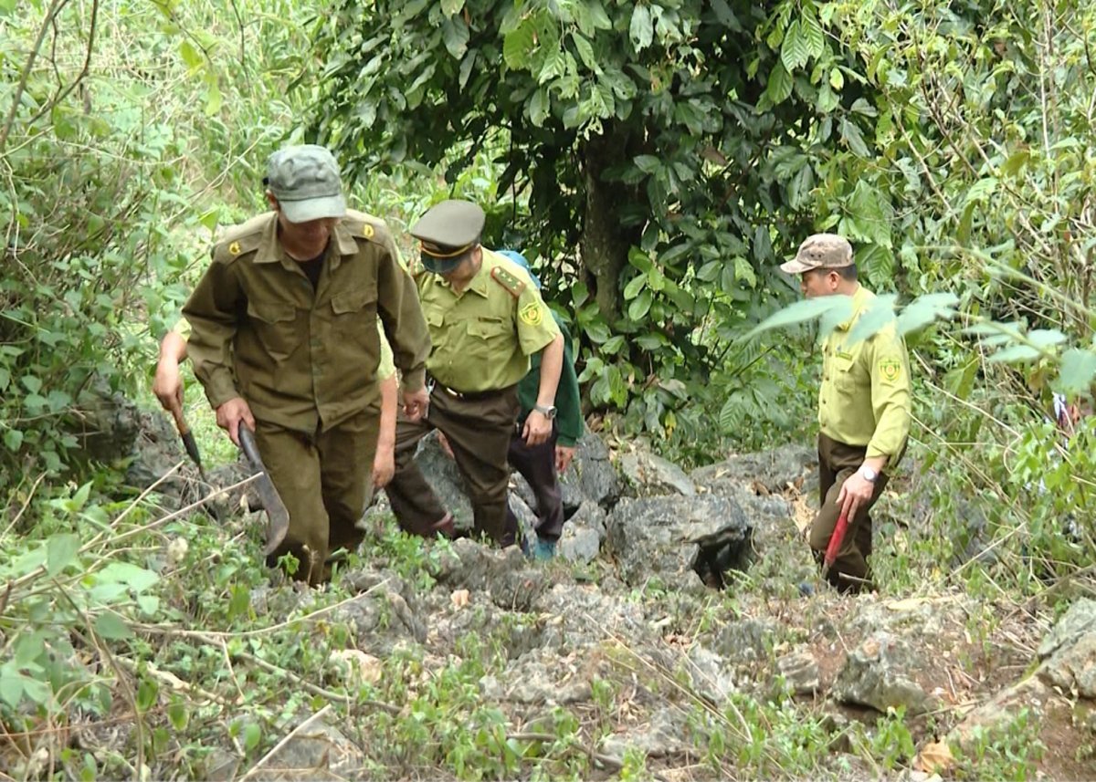 Kiểm lâm Hà Giang tuần tra, bảo vệ rừng. Ảnh: Báo Hà Giang. Kiểm lâm Hà Giang tuần tra, bảo vệ rừng. Ảnh: Báo Hà Giang.