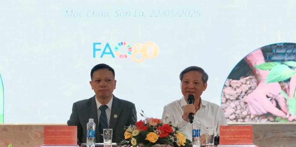 Ông Nguyễn Song Hà - Trợ lý Trưởng đại diện FAO tại Việt Nam (trái) và PGS.TS Nguyễn Quốc Hùng - Viện trưởng Viện Nghiên cứu Rau quả đồng chủ trì cuộc họp tổng kết. Ảnh: Quỳnh Chi. Ông Nguyễn Song Hà - Trợ lý Trưởng đại diện FAO tại Việt Nam (trái) và PGS.TS Nguyễn Quốc Hùng - Viện trưởng Viện Nghiên cứu Rau quả đồng chủ trì cuộc họp tổng kết. Ảnh: Quỳnh Chi.