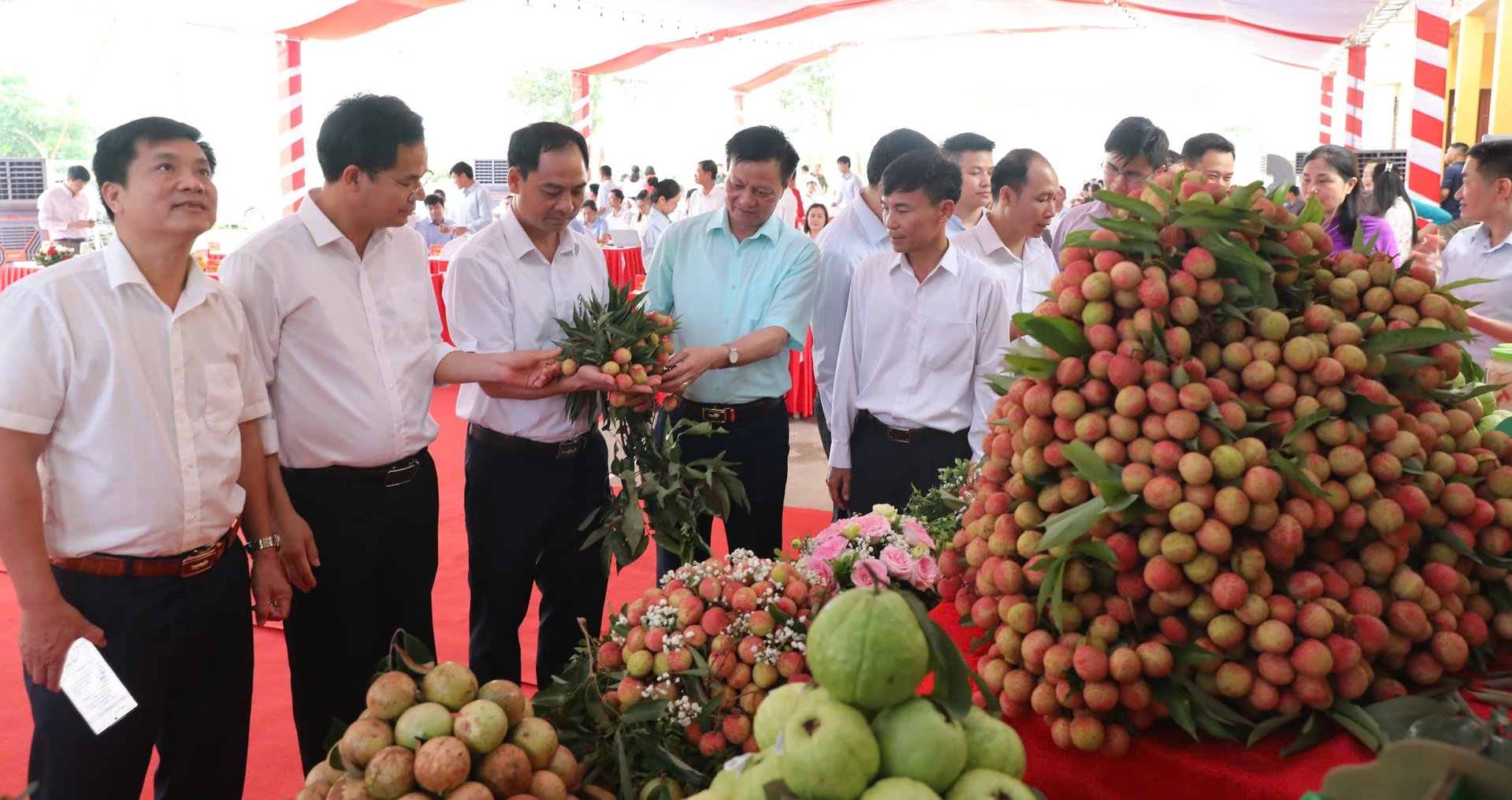 Các đại biểu tham quan gian hàng trưng bày vải thiều chín sớm Tân Tên. Ảnh: Phạm Minh. Các đại biểu tham quan gian hàng trưng bày vải thiều chín sớm Tân Tên. Ảnh: Phạm Minh.