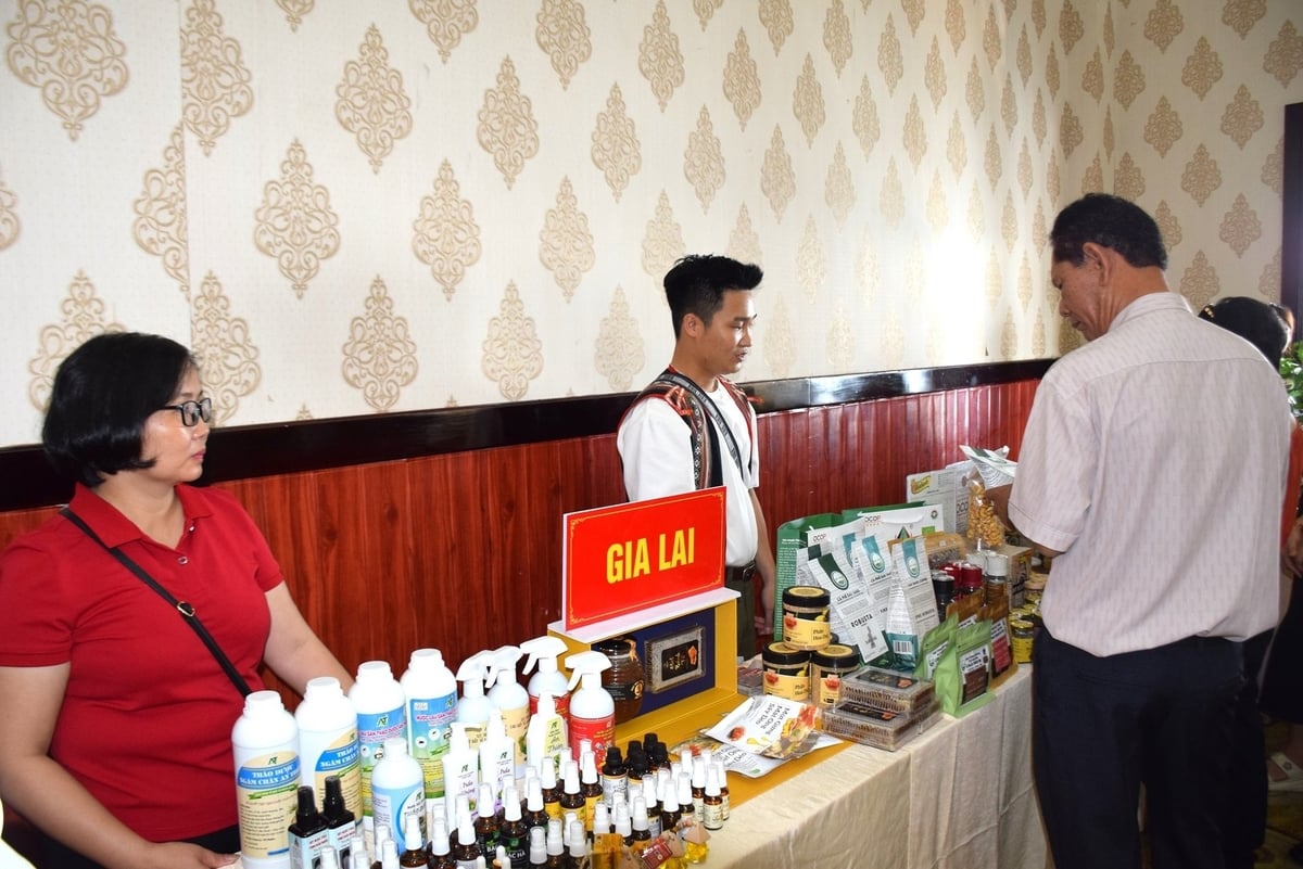 Gian hàng trưng bày sản phẩm đặc trưng, sản phẩm Ocop của tỉnh Gia Lai. Ảnh: V.Đ.T. Gian hàng trưng bày sản phẩm đặc trưng, sản phẩm Ocop của tỉnh Gia Lai. Ảnh: V.Đ.T.