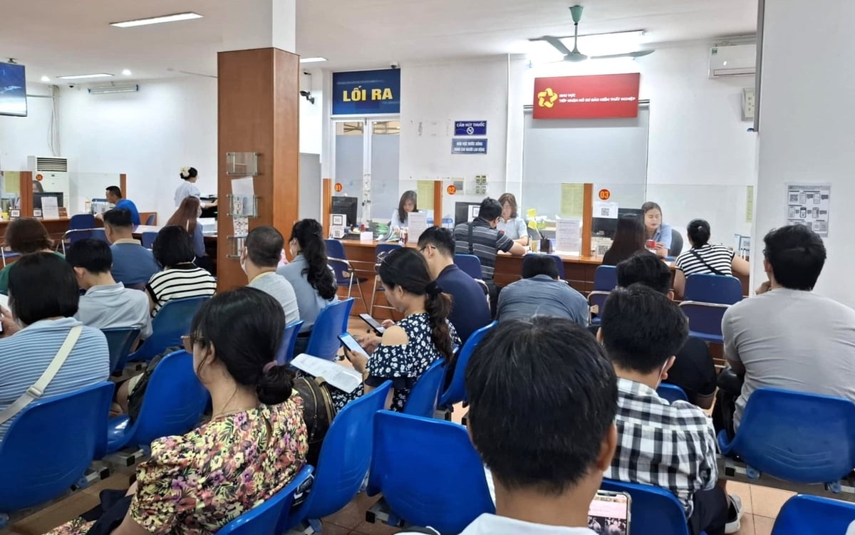 Người lao động có thể nộp hồ sơ đề nghị hưởng trợ cấp thất nghiệp theo 2 hình thức trực tiếp hoặc trực tuyến qua Cổng dịch vụ công quốc gia. Ảnh: Trung Quân. Người lao động có thể nộp hồ sơ đề nghị hưởng trợ cấp thất nghiệp theo 2 hình thức trực tiếp hoặc trực tuyến qua Cổng dịch vụ công quốc gia. Ảnh: Trung Quân.