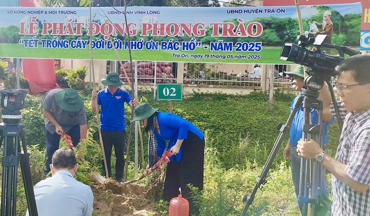 Từ năm 2021 đến nay tỉnh Vĩnh Long đã trồng được 470.206 cây xanh các loại ở các huyện, thị xã, thành phố. Ảnh: Quốc Bảo. Từ năm 2021 đến nay tỉnh Vĩnh Long đã trồng được 470.206 cây xanh các loại ở các huyện, thị xã, thành phố. Ảnh: Quốc Bảo.