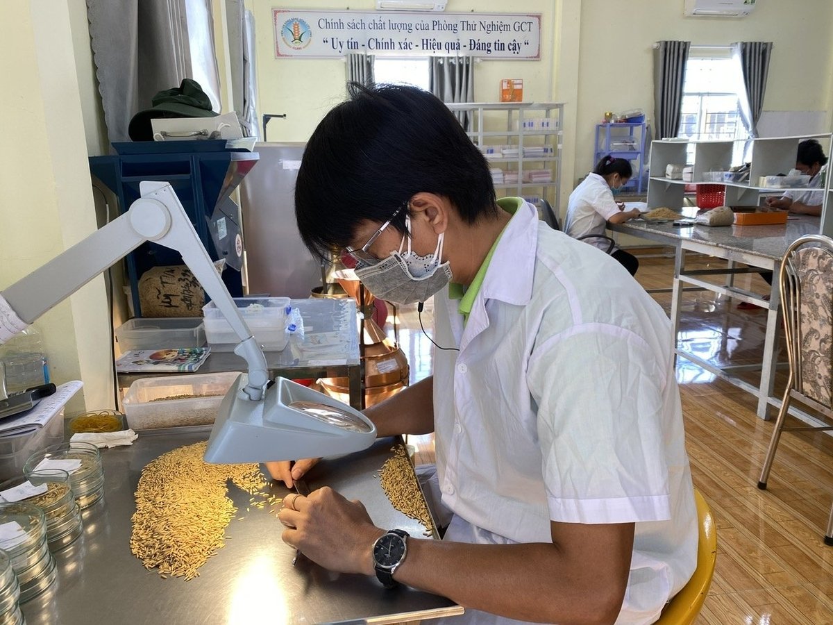 Viện Lúa ĐBSCL đang tập trung tạo ra các giống lúa vừa thơm ngon, phù hợp cho tiêu dùng nội địa và xuất khẩu, vừa có khả năng giảm phát thải trong canh tác. Ảnh: Lê Hoàng Vũ. Viện Lúa ĐBSCL đang tập trung tạo ra các giống lúa vừa thơm ngon, phù hợp cho tiêu dùng nội địa và xuất khẩu, vừa có khả năng giảm phát thải trong canh tác. Ảnh: Lê Hoàng Vũ.