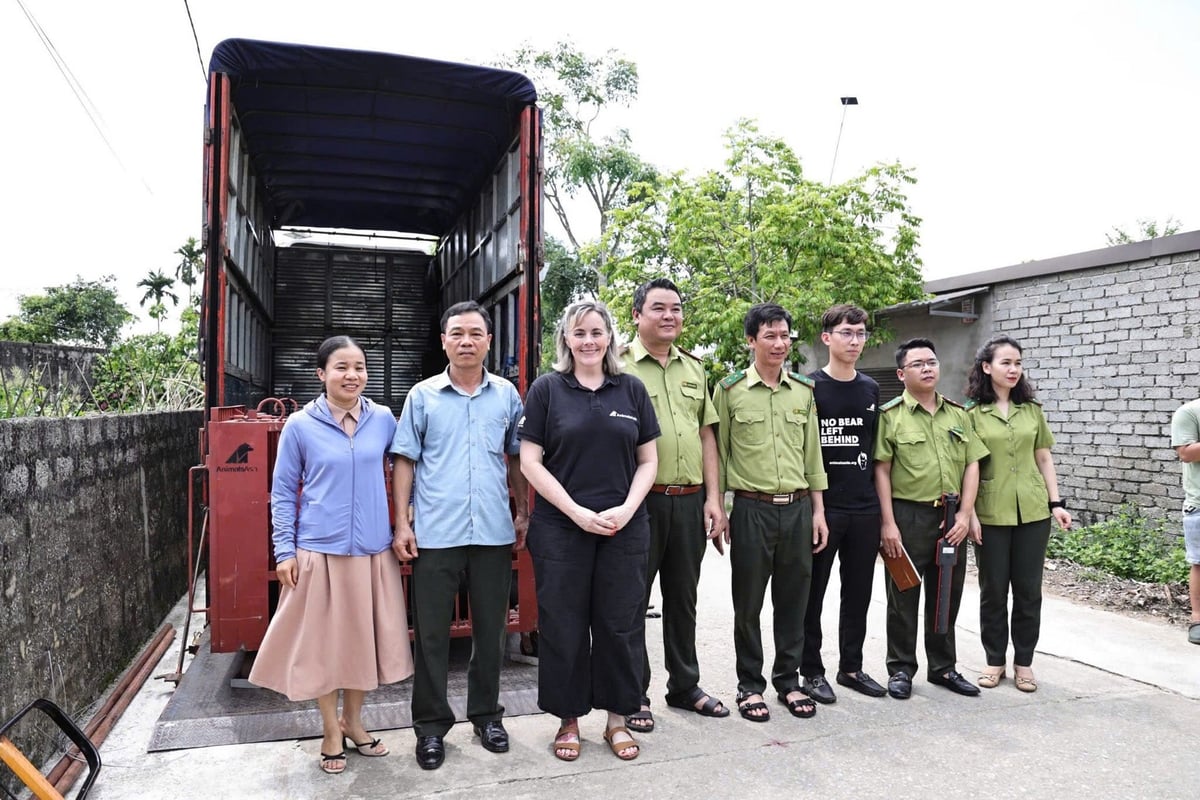 Tổ chức Động vật Châu Á phối hợp với Chi cục Kiểm lâm Vùng II - Cục Kiểm lâm và Chi cục Kiểm lâm tỉnh Nghệ An tổ chức cứu hộ thành công một cá thể gấu ngựa. Ảnh: AA. Tổ chức Động vật Châu Á phối hợp với Chi cục Kiểm lâm Vùng II - Cục Kiểm lâm và Chi cục Kiểm lâm tỉnh Nghệ An tổ chức cứu hộ thành công một cá thể gấu ngựa. Ảnh: AA.