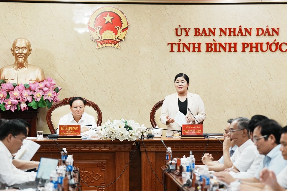 Chủ tịch UBND tỉnh Bình Phước Trần Tuệ Hiền phát biểu tại hội nghị. Ảnh: Hồng Thủy. Chủ tịch UBND tỉnh Bình Phước Trần Tuệ Hiền phát biểu tại hội nghị. Ảnh: Hồng Thủy.