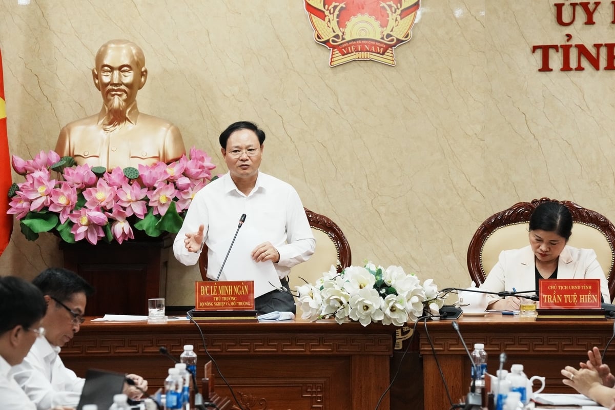 Thứ trưởng Lê Minh Ngân: 'Hôm nay, các thành viên tham dự hội nghị có mặt tại đây, sẽ là một tuyên truyền viên trong thời gian tới'. Ảnh: Hồng Thủy. Thứ trưởng Lê Minh Ngân: 'Hôm nay, các thành viên tham dự hội nghị có mặt tại đây, sẽ là một tuyên truyền viên trong thời gian tới'. Ảnh: Hồng Thủy.