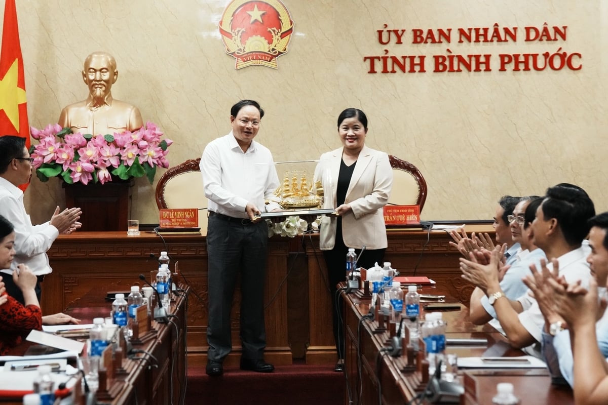 Thứ trưởng Lê Minh Ngân thay mặt đoàn công tác tặng quà lưu niệm cho UBND tỉnh Bình Phước. Ảnh: Hồng Thủy. Thứ trưởng Lê Minh Ngân thay mặt đoàn công tác tặng quà lưu niệm cho UBND tỉnh Bình Phước. Ảnh: Hồng Thủy.