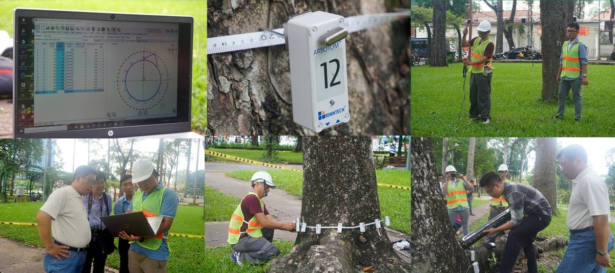 Tiến hành kiểm tra 'sức khỏe' cây xanh tại Công viên Tao Đàn bằng sóng âm. Ảnh: Nguyễn Thủy. Tiến hành kiểm tra 'sức khỏe' cây xanh tại Công viên Tao Đàn bằng sóng âm. Ảnh: Nguyễn Thủy.