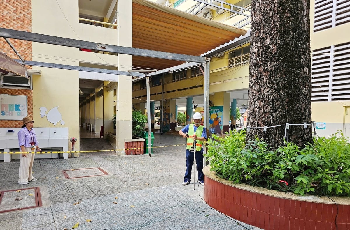 Kiểm tra miễn phí 'sức khỏe' cây xanh tại Trường Tiểu học Nguyễn Bỉnh Khiêm. Ảnh: Nguyễn Thủy. Kiểm tra miễn phí 'sức khỏe' cây xanh tại Trường Tiểu học Nguyễn Bỉnh Khiêm. Ảnh: Nguyễn Thủy.
