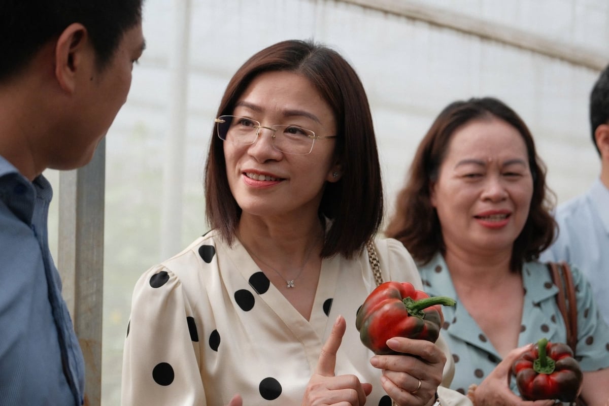 Bà Phạm Thị Doan - Giám đốc Sở Khoa học và Công nghệ tỉnh Sơn La thăm mô hình nhà màng trồng ớt chuông công nghệ cao thuộc dự án ở tiểu khu 14, thị xã Mộc Châu. Ảnh: Quỳnh Chi. Bà Phạm Thị Doan - Giám đốc Sở Khoa học và Công nghệ tỉnh Sơn La thăm mô hình nhà màng trồng ớt chuông công nghệ cao thuộc dự án ở tiểu khu 14, thị xã Mộc Châu. Ảnh: Quỳnh Chi.