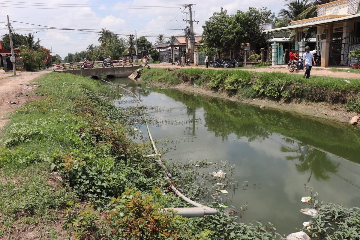 Một tuyến kênh thủy lợi tại xã Phước Minh đổi màu vì hàng loạt cơ sở nuôi trồng thủy sản xả thải trực tiếp ra môi trường. Ảnh: Trần Trung. Một tuyến kênh thủy lợi tại xã Phước Minh đổi màu vì hàng loạt cơ sở nuôi trồng thủy sản xả thải trực tiếp ra môi trường. Ảnh: Trần Trung.