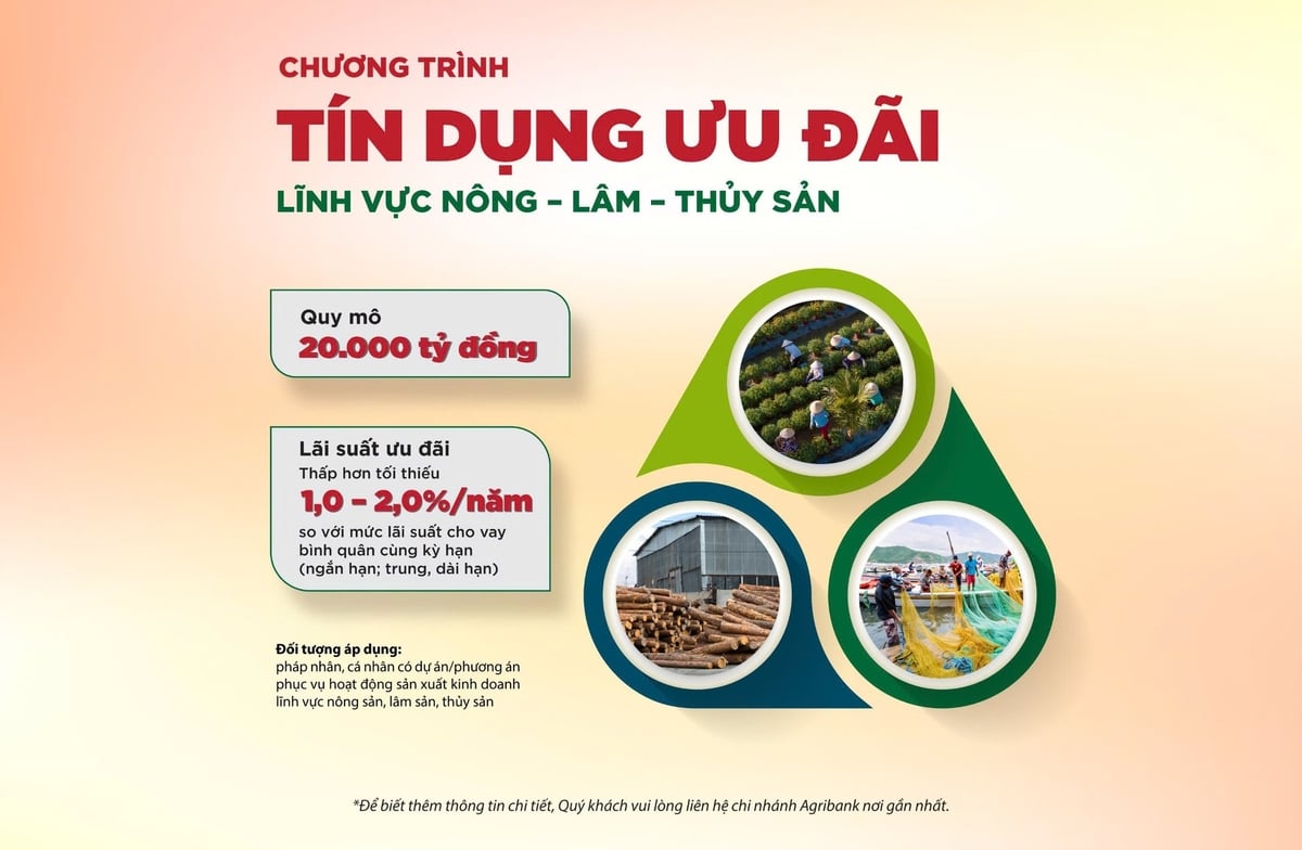 Lãi suất ưu đãi của chương trình thấp hơn tối thiểu từ 1-2%/năm so với mức lãi suất cho vay bình quân cùng kỳ hạn. Lãi suất ưu đãi của chương trình thấp hơn tối thiểu từ 1-2%/năm so với mức lãi suất cho vay bình quân cùng kỳ hạn.