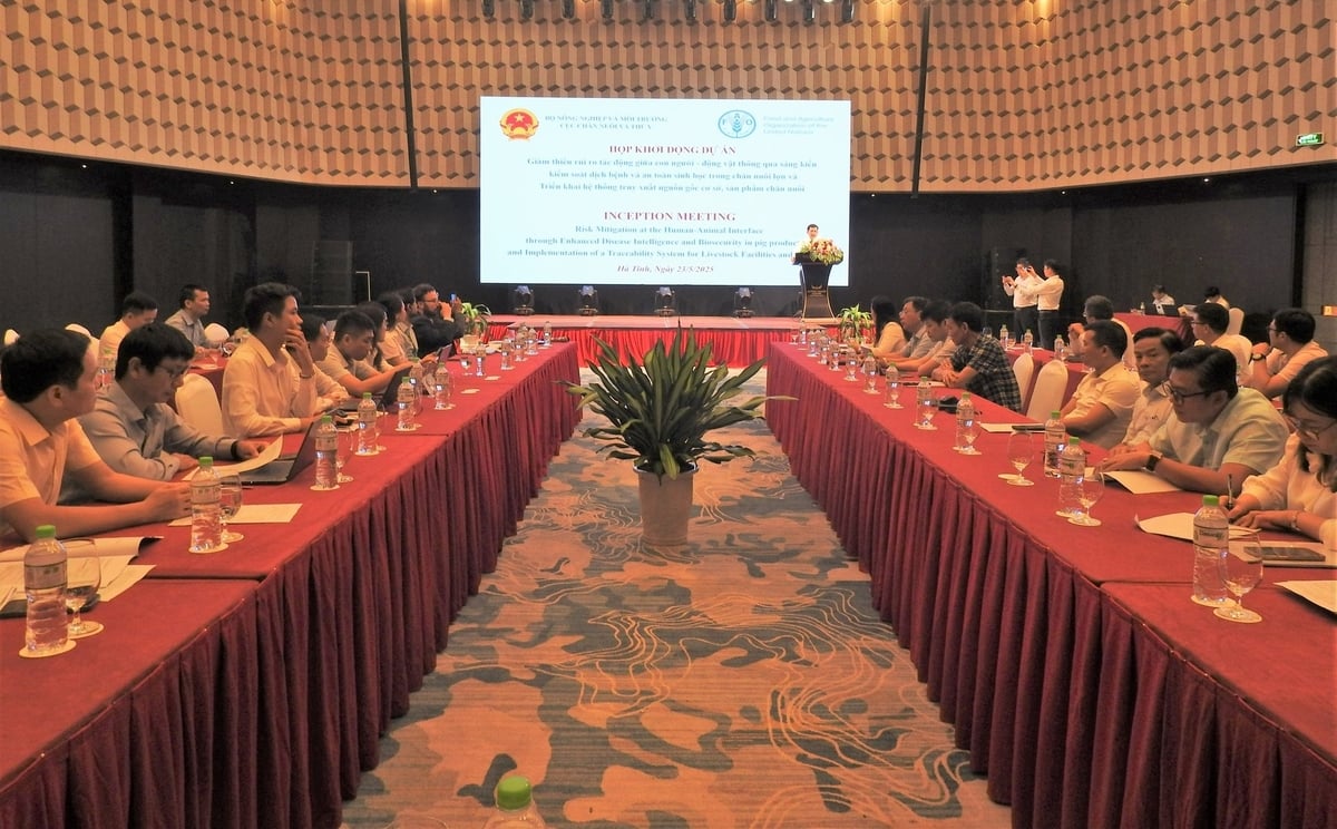 Toàn cảnh lễ khởi động Dự án 'Giảm thiểu rủi ro tác động giữa con người, động vật thông qua sáng kiến kiểm soát dịch bệnh, an toàn sinh học trong chăn nuôi lợn' tại Hà Tĩnh. Ảnh: Thanh Nga. Toàn cảnh lễ khởi động Dự án 'Giảm thiểu rủi ro tác động giữa con người, động vật thông qua sáng kiến kiểm soát dịch bệnh, an toàn sinh học trong chăn nuôi lợn' tại Hà Tĩnh. Ảnh: Thanh Nga.