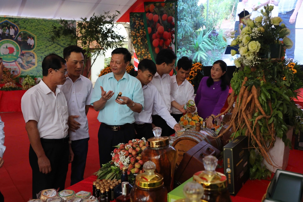 Nhiều sản phẩm OCOP của Tân Yên được quảng bá tại hội nghị. Ảnh: Phạm Minh. Nhiều sản phẩm OCOP của Tân Yên được quảng bá tại hội nghị. Ảnh: Phạm Minh.