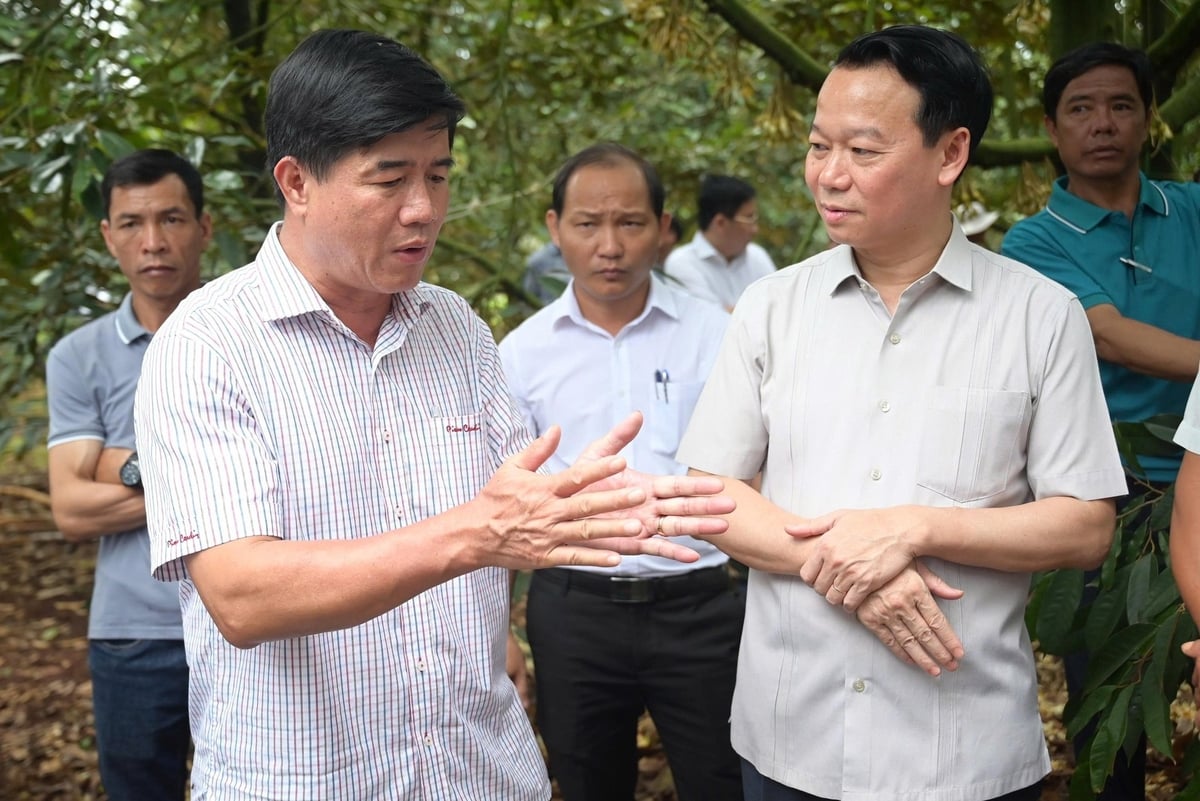 Ông Nguyễn Thiên Văn, quyền Chủ tịch UBND tỉnh Đắk Lắk cho rằng, ngoài nội lực của các đơn vị, cần có sự đầu tư công mang tính tập trung vào những lĩnh vực then chốt, nhằm nâng cao giá trị sản phẩm sầu riêng. Ảnh: Phạm Hoài. Ông Nguyễn Thiên Văn, quyền Chủ tịch UBND tỉnh Đắk Lắk cho rằng, ngoài nội lực của các đơn vị, cần có sự đầu tư công mang tính tập trung vào những lĩnh vực then chốt, nhằm nâng cao giá trị sản phẩm sầu riêng. Ảnh: Phạm Hoài.
