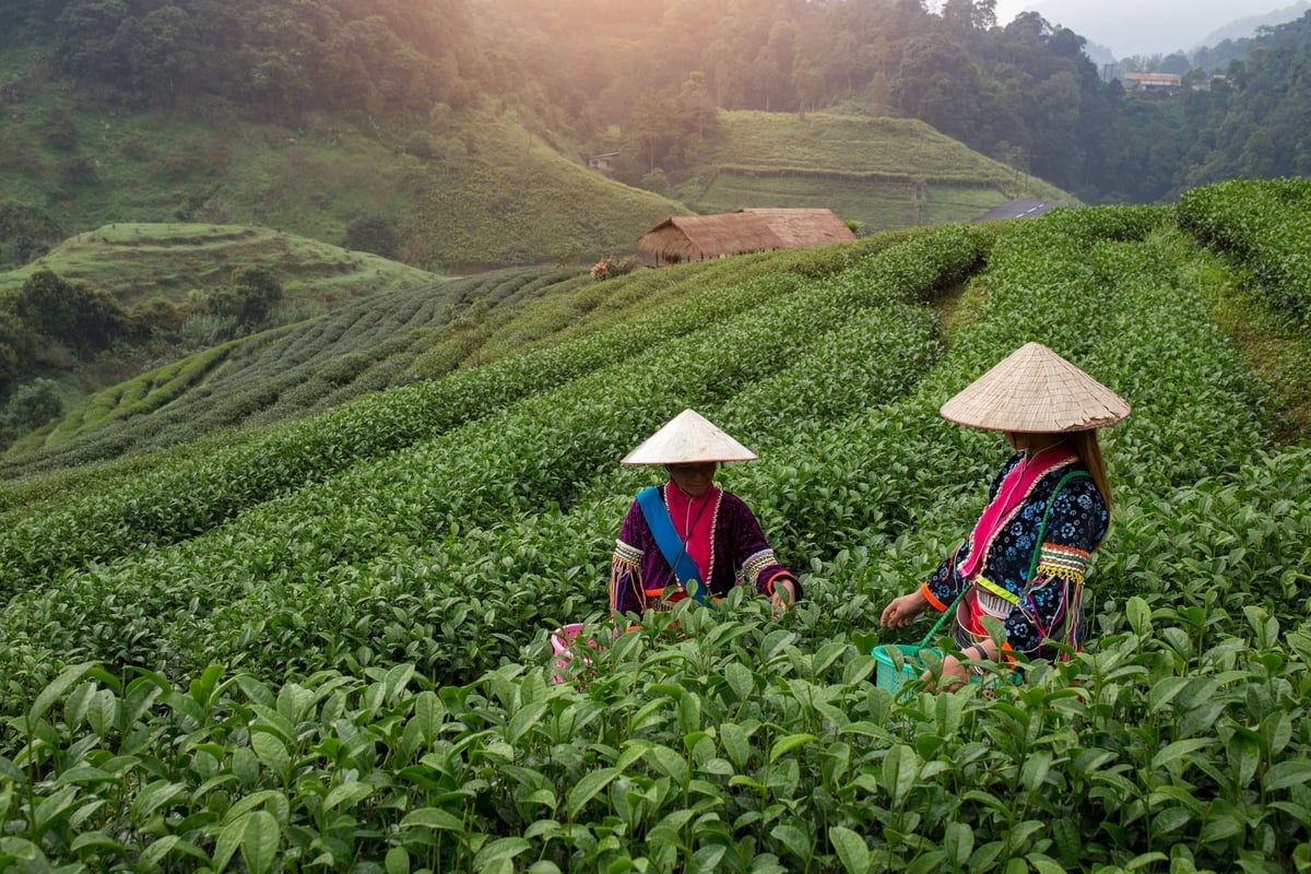 Khoản đầu tư chung nhằm đẩy mạnh đầu tư và hợp tác để ứng phó hiệu quả hơn với những tác động của khí hậu đối với sức khỏe con người. Ảnh: WMO. Khoản đầu tư chung nhằm đẩy mạnh đầu tư và hợp tác để ứng phó hiệu quả hơn với những tác động của khí hậu đối với sức khỏe con người. Ảnh: WMO.