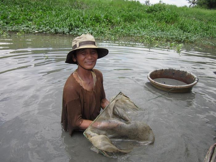 Nghề bắt trùn chỉ tự nhiên hiếm hoi lắm mới được bắt gặp ở kênh rạch Sài thành. Ảnh: Đình Du. Nghề bắt trùn chỉ tự nhiên hiếm hoi lắm mới được bắt gặp ở kênh rạch Sài thành. Ảnh: Đình Du.