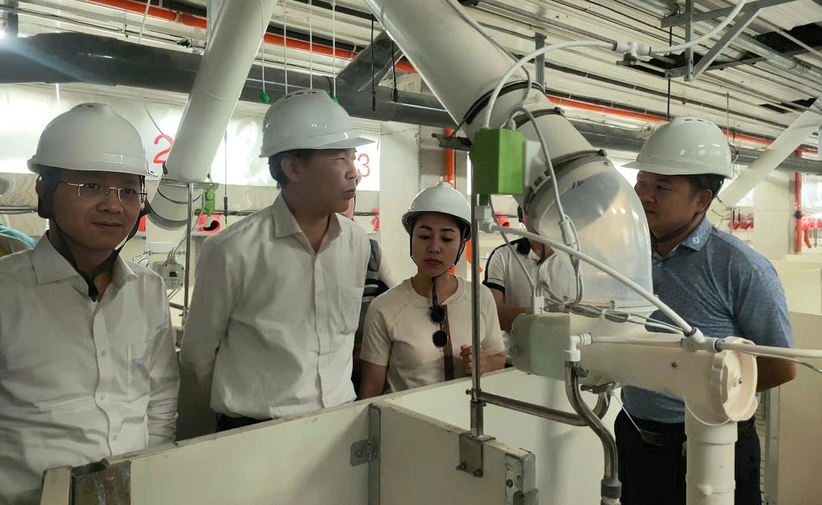 Dù đầu tư cao hơn 1,5 - 1,8 lần bình thường, song mô hình trại lợn nhiều tầng cho thấy hiệu quả vượt trội khi giúp tăng hiệu suất sử dụng đất từ 4 - 10 lần. Ảnh: ICD. Dù đầu tư cao hơn 1,5 - 1,8 lần bình thường, song mô hình trại lợn nhiều tầng cho thấy hiệu quả vượt trội khi giúp tăng hiệu suất sử dụng đất từ 4 - 10 lần. Ảnh: ICD.