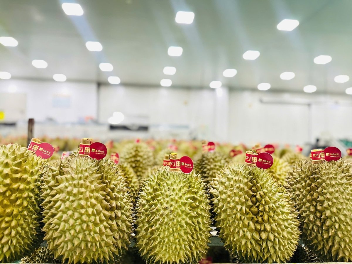 Sầu riêng được bày bán tại thị trường Trung Quốc.