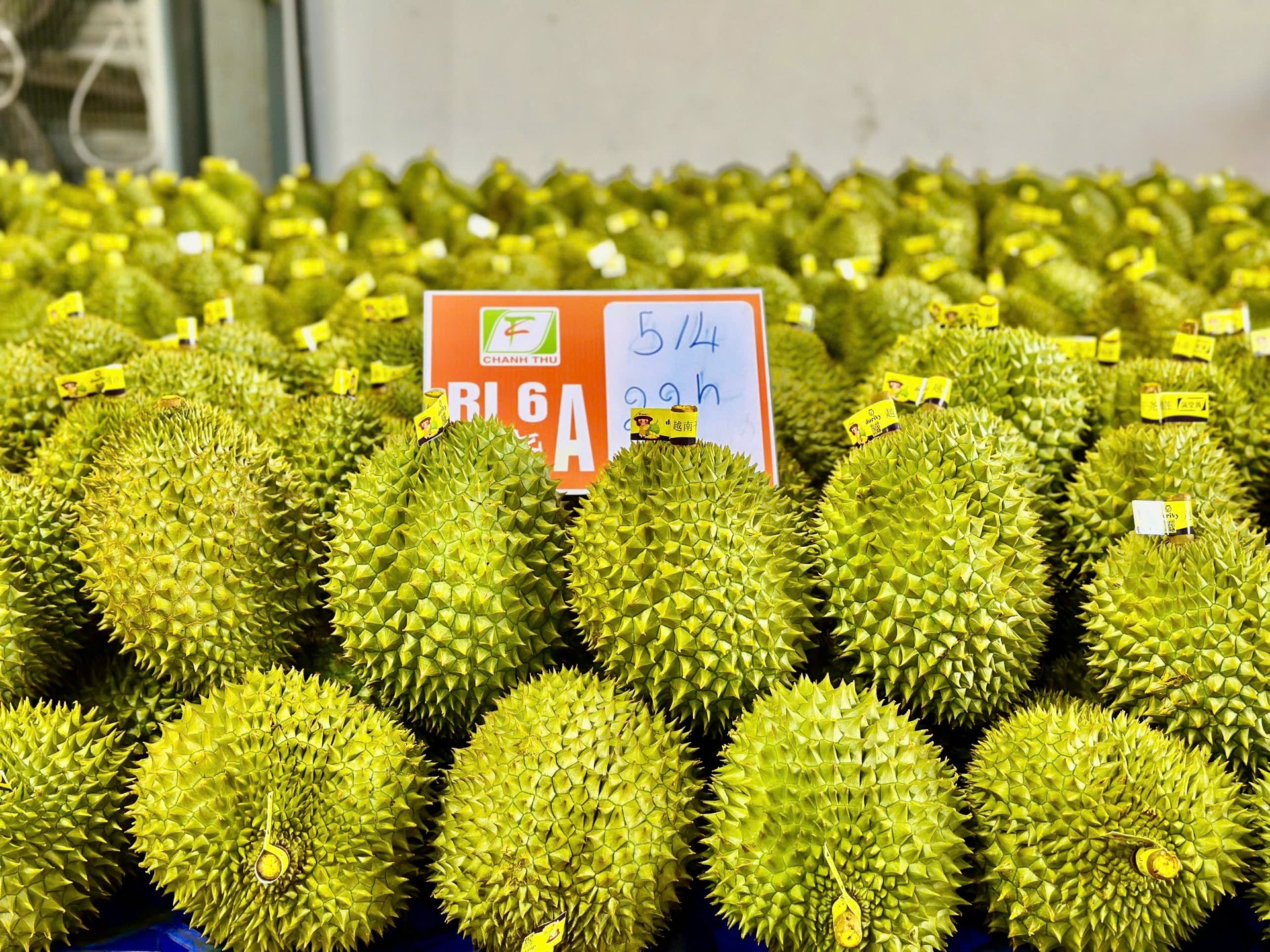 Công ty Cổ phần Tập đoàn Xuất nhập khẩu trái cây Chánh Thu.