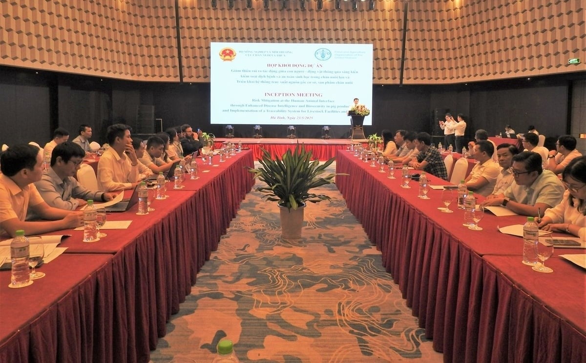 An overview of the launch ceremony for the project 'Mitigating Human-Animal Interface Risks Through Disease Control and Biosecurity Initiatives in Pig Farming' held in Ha Tinh. Photo: Thanh Nga.