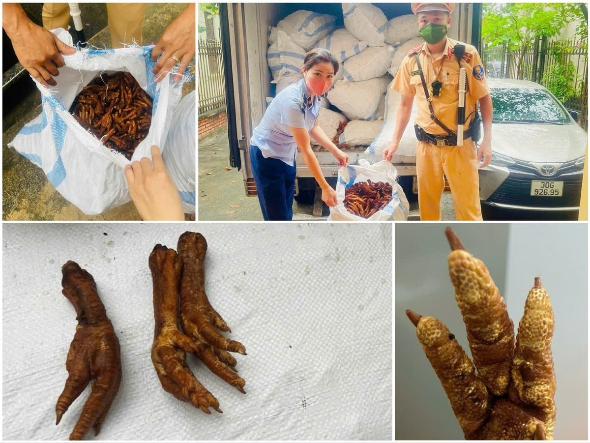 Số chân gà không rõ nguồn gốc bị phát hiện, thu giữ. Ảnh: Công an TP Hà Nội. Số chân gà không rõ nguồn gốc bị phát hiện, thu giữ. Ảnh: Công an TP Hà Nội.