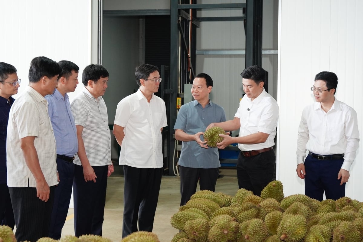 Bộ trưởng Đỗ Đức Duy đánh giá cao những nỗ lực của Sarita trong việc xây dựng liên kết chuỗi vùng trồng sầu riêng. Ảnh: Phạm Hoài. Bộ trưởng Đỗ Đức Duy đánh giá cao những nỗ lực của Sarita trong việc xây dựng liên kết chuỗi vùng trồng sầu riêng. Ảnh: Phạm Hoài.
