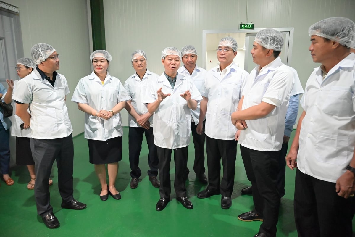 Bộ trưởng Đỗ Đức Duy chia sẻ một số vấn đề liên quan đến thị trường xuất khẩu ngành hàng sầu riêng với đại diện Công ty Cổ phần Sầu riêng Tây Nguyên. Ảnh: Phạm Hoài. Bộ trưởng Đỗ Đức Duy chia sẻ một số vấn đề liên quan đến thị trường xuất khẩu ngành hàng sầu riêng với đại diện Công ty Cổ phần Sầu riêng Tây Nguyên. Ảnh: Phạm Hoài.