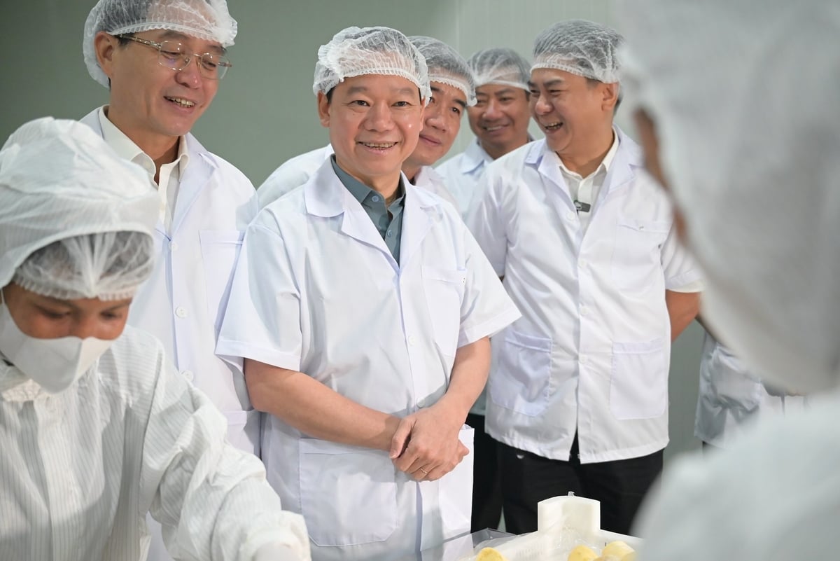 Bộ trưởng kỳ vọng Sarita tiếp tục phát huy vai trò tiên phong trong việc xây dựng thương hiệu sầu riêng Việt Nam vững chắc trên thị trường quốc tế, góp phần đưa nông sản Việt Nam vươn xa bằng chất lượng và uy tín. Ảnh: Phạm Hoài. Bộ trưởng kỳ vọng Sarita tiếp tục phát huy vai trò tiên phong trong việc xây dựng thương hiệu sầu riêng Việt Nam vững chắc trên thị trường quốc tế, góp phần đưa nông sản Việt Nam vươn xa bằng chất lượng và uy tín. Ảnh: Phạm Hoài.