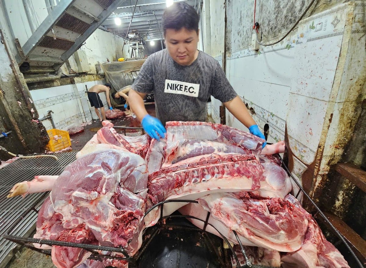 Hiện tỉnh Khánh Hòa chủ yếu cơ sở giết mổ nhỏ lẻ. Ảnh: KS. Hiện tỉnh Khánh Hòa chủ yếu cơ sở giết mổ nhỏ lẻ. Ảnh: KS.