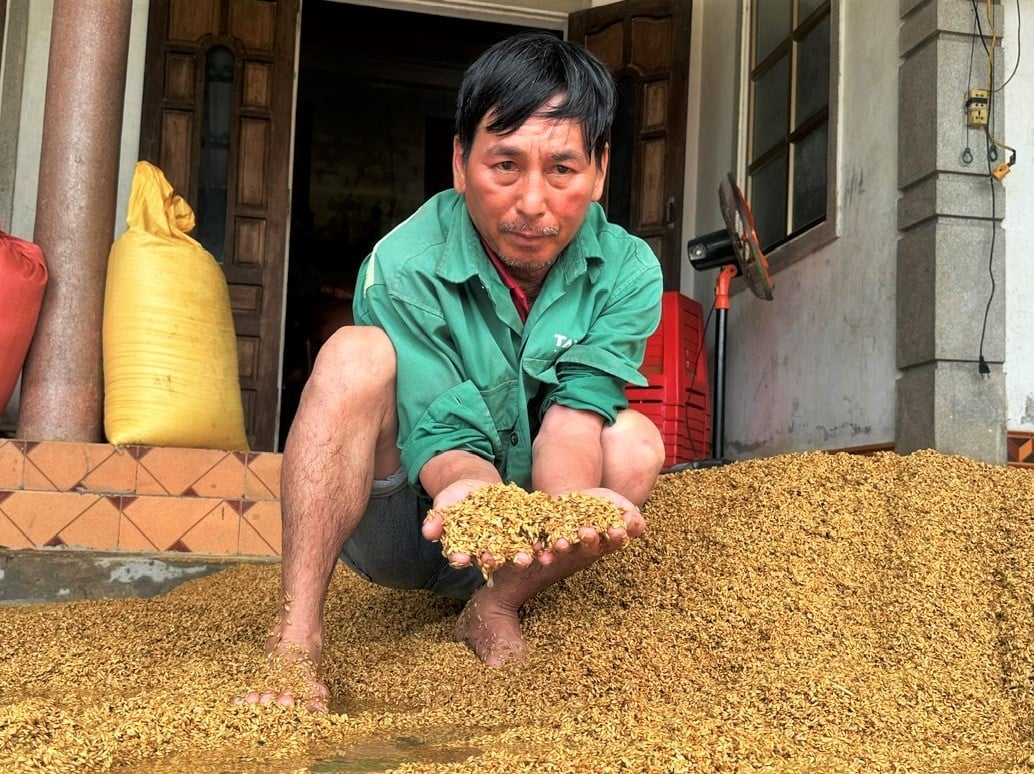 Lũ gây thiệt hại từ ngoài đồng đến trong nhà. Ảnh: Thanh Nga. Lũ gây thiệt hại từ ngoài đồng đến trong nhà. Ảnh: Thanh Nga.