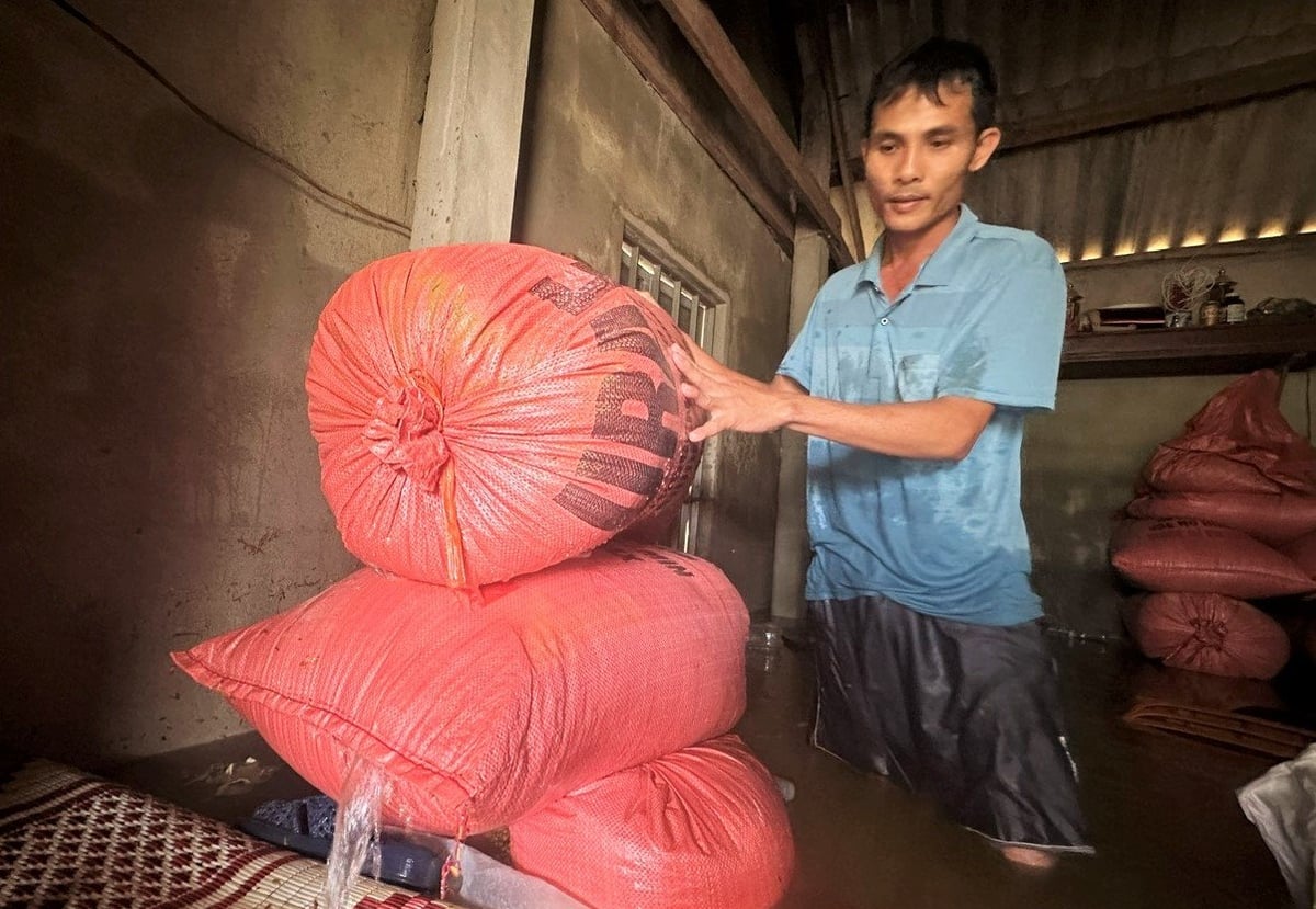 Hơn 1 tấn lúa của gia đình ông Lê bị ngâm trong nước từ rạng sáng ngày 25/5. Ảnh: Thanh Nga. Hơn 1 tấn lúa của gia đình ông Lê bị ngâm trong nước từ rạng sáng ngày 25/5. Ảnh: Thanh Nga.