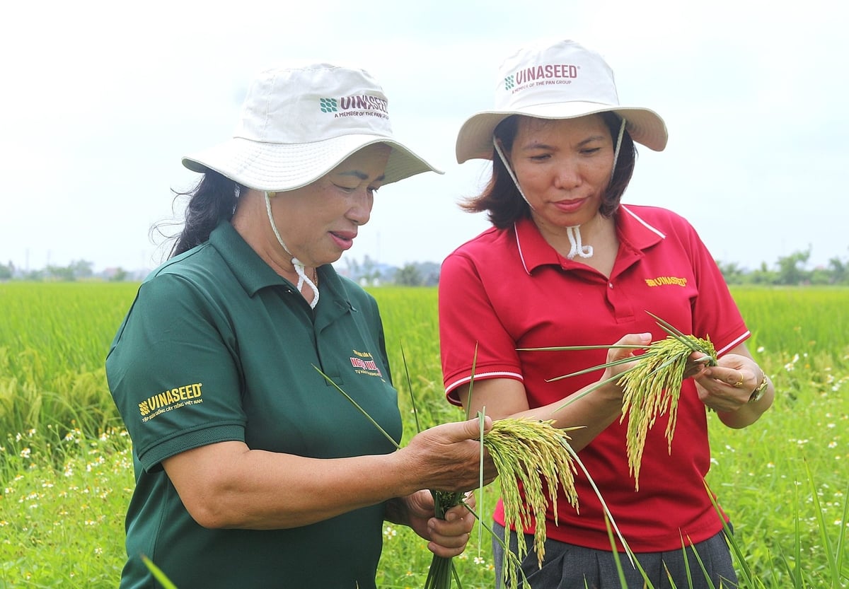 Theo bà Đinh Thị Minh Thơ (phải), người tiêu dùng ngày càng ưa chuộng các sản phẩm lúa gạo có chất lượng vượt trội, truy xuất được nguồn gốc. Ảnh: Phạm Hiếu. Theo bà Đinh Thị Minh Thơ (phải), người tiêu dùng ngày càng ưa chuộng các sản phẩm lúa gạo có chất lượng vượt trội, truy xuất được nguồn gốc. Ảnh: Phạm Hiếu.
