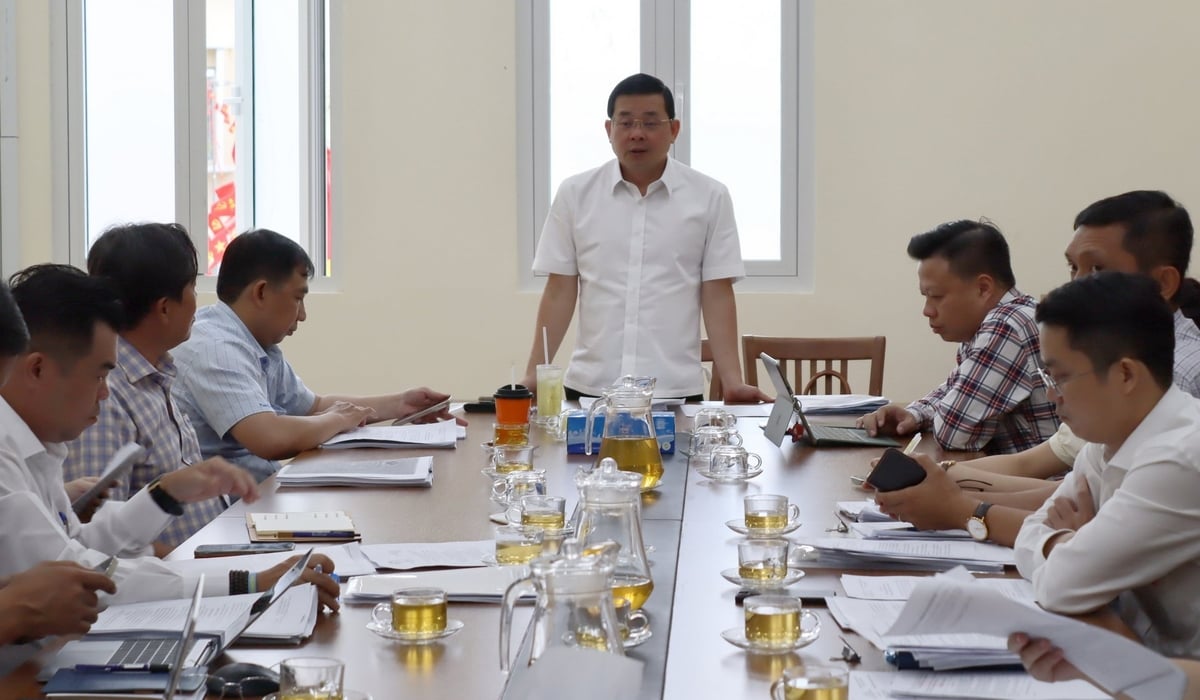 Ông Nguyễn Toàn Thắng - Giám đốc Sở Nông Nghiệp và Môi trường TP.HCM - Tổ trưởng Tổ công tác 5013 chủ trì một buổi làm việc với đại diện chủ đầu tư để giải quyết vướng mắc liên quan đến việc cấp 'sổ hồng' cho dự án. Ảnh: Tường Tú. Ông Nguyễn Toàn Thắng - Giám đốc Sở Nông Nghiệp và Môi trường TP.HCM - Tổ trưởng Tổ công tác 5013 chủ trì một buổi làm việc với đại diện chủ đầu tư để giải quyết vướng mắc liên quan đến việc cấp 'sổ hồng' cho dự án. Ảnh: Tường Tú.