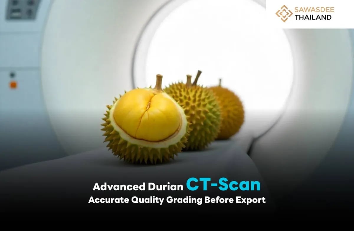 Sầu riêng Thái Lan được chụp CT trước khi xuất khẩu sang Trung Quốc, giúp đánh giá chính xác chất lượng sản phẩm. Ảnh: Chính phủ Thái Lan.