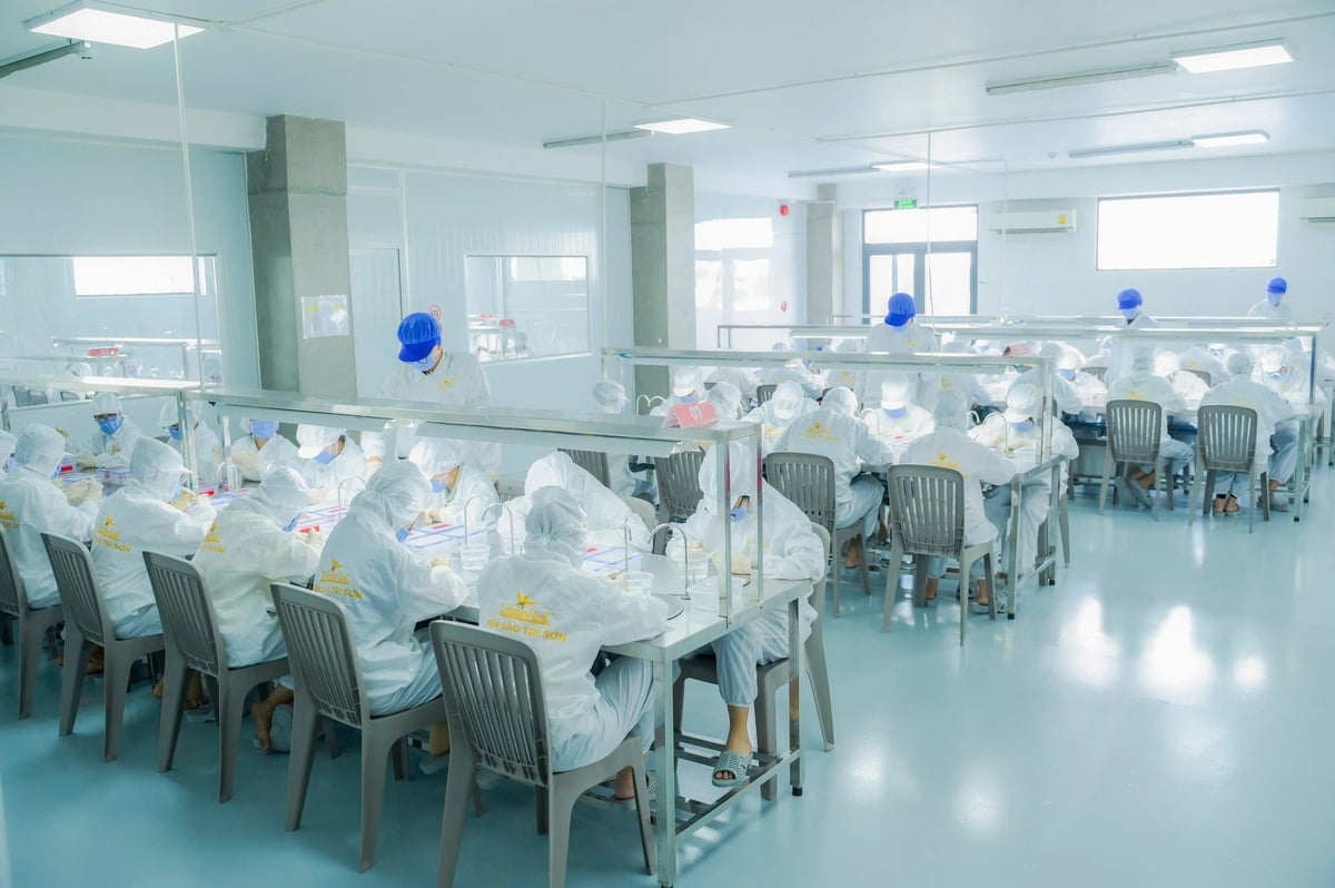 Ngành hàng yến sào Việt Nam đã có bước phát triển mới từ khi xuất khẩu chính ngạch sang Trung Quốc. Ảnh: Minh Đảm. Ngành hàng yến sào Việt Nam đã có bước phát triển mới từ khi xuất khẩu chính ngạch sang Trung Quốc. Ảnh: Minh Đảm.
