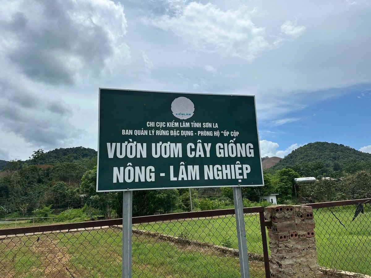 Toàn khu rộng hơn 1.5 ha, cung cấp nhiều các loại cây giống trồng phục vụ sản xuất. Ảnh: Đức Bình.