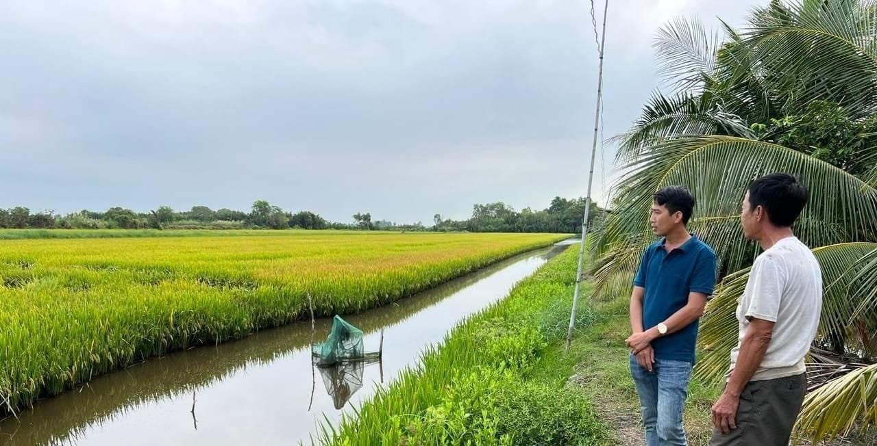 Mô hình tôm - lúa hữu cơ tại huyện Hồng Dân, tỉnh Bạc Liêu. Ảnh: Trọng Linh.