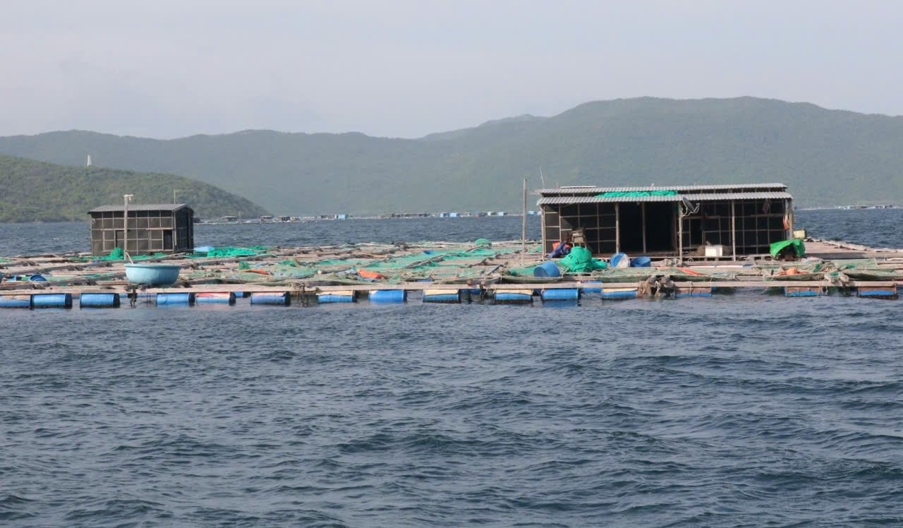 Nuôi trồng thủy sản lồng bè trên vịnh Vân Phong, tỉnh Khánh Hòa. Ảnh: KS. Nuôi trồng thủy sản lồng bè trên vịnh Vân Phong, tỉnh Khánh Hòa. Ảnh: KS.