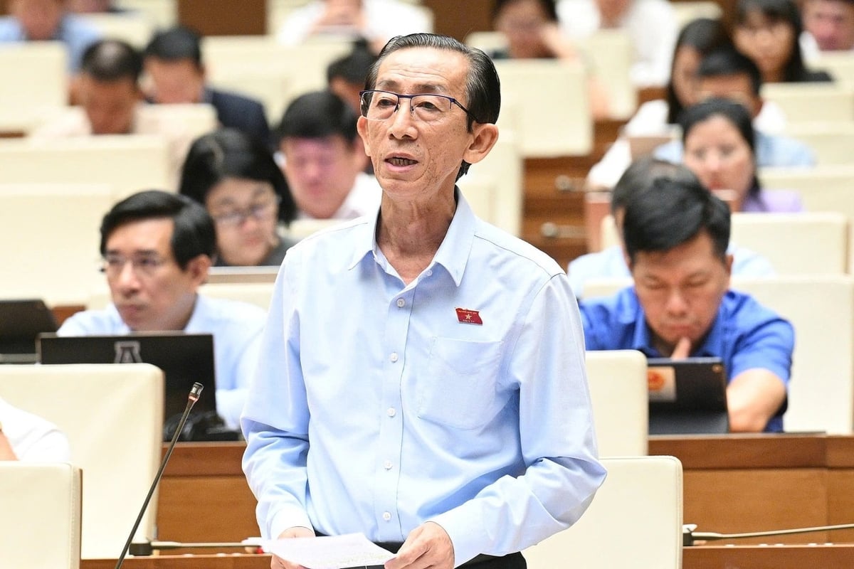 Đại biểu Trần Hoàng Ngân (Viện trưởng Viện Nghiên cứu phát triển TP.HCM). Ảnh: Cổng TTĐT Quốc hội.